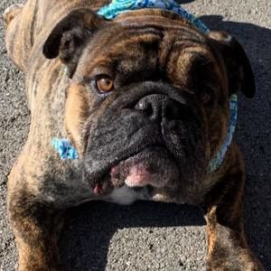 Meet your Posher, Shawn